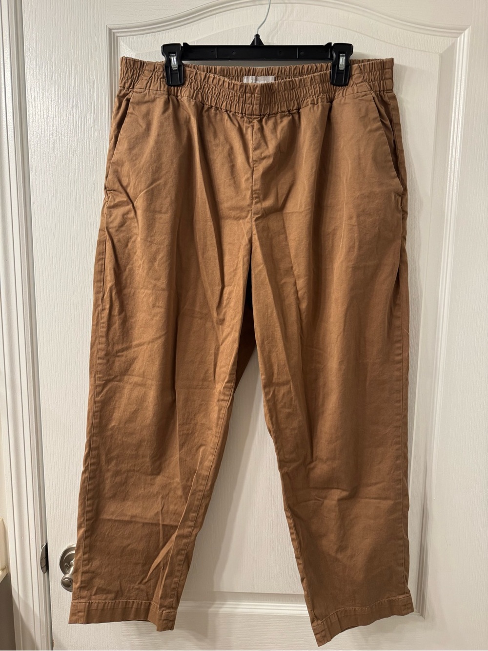 Everlane Women's Easy Chino Pull On Pants